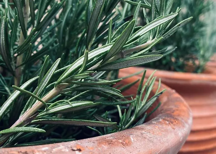 Σπίτι διακοπών Casa En La Montana Kambitsata