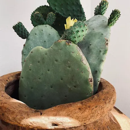 Casa En La Montana Nyaraló