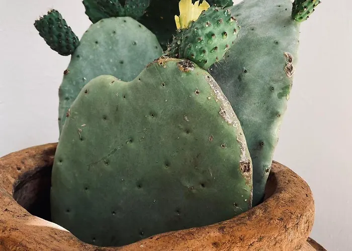 Casa En La Montana Ferienhaus